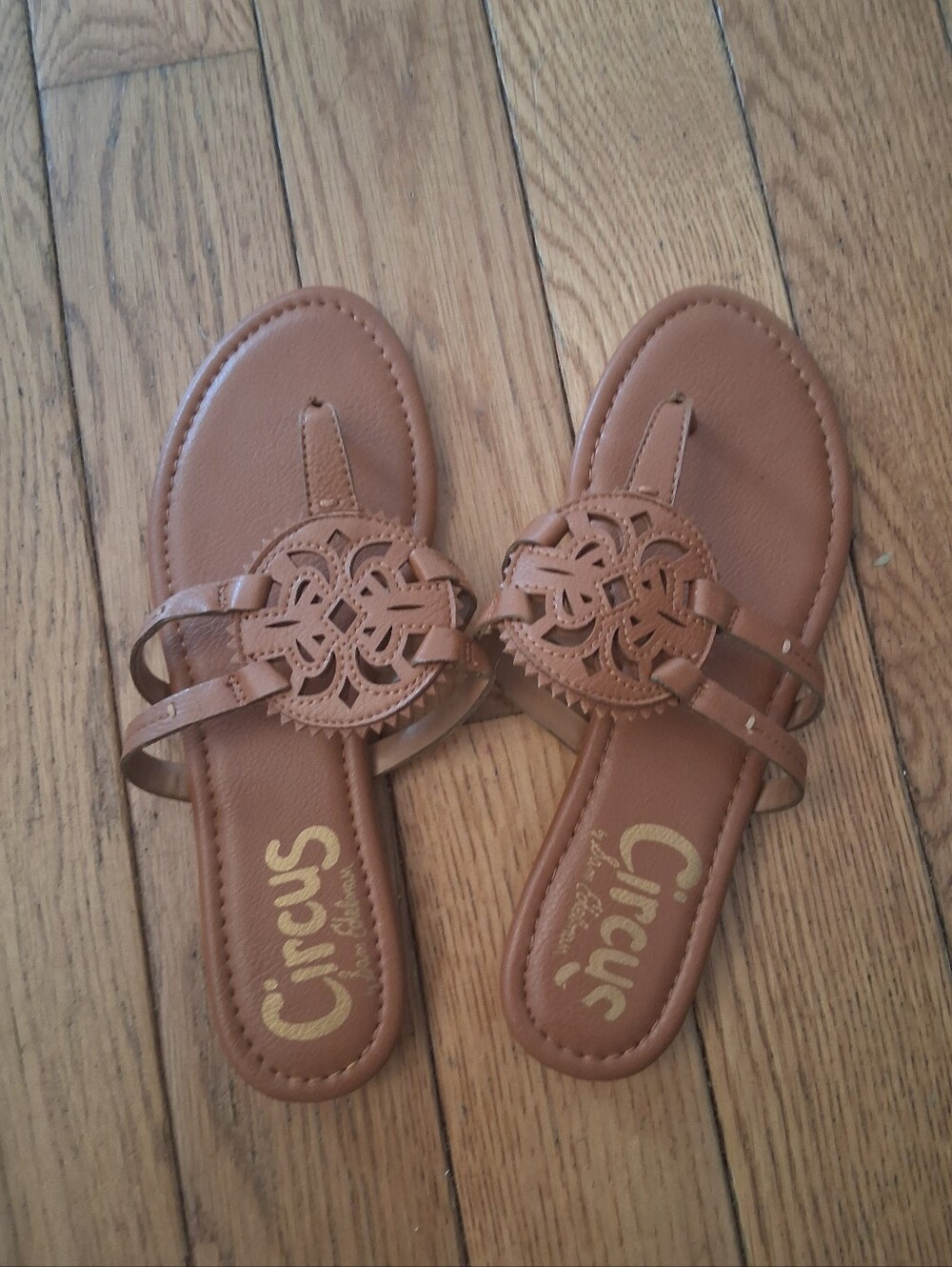 Canyon Brown Cutout Medallion Slide Sandals Circus By Sam Edelman